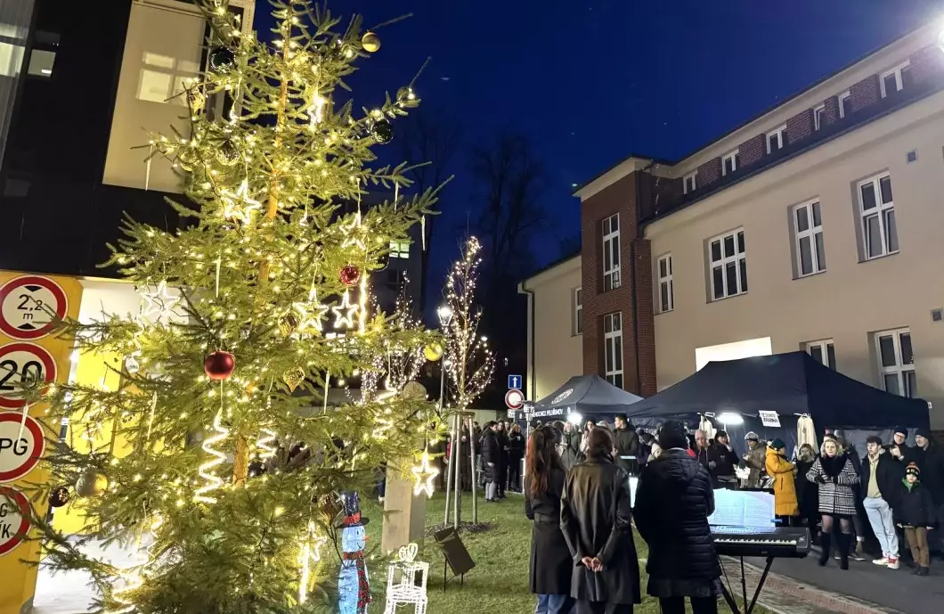 Štoly, vánočky a punč. Vánoční strom svítí i v nemocnici