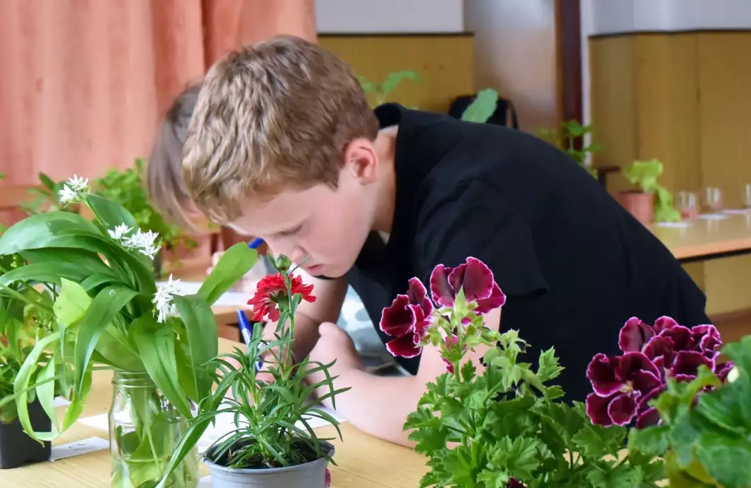 Mladí zahrádkáři se utkali o postup do celostátní soutěže