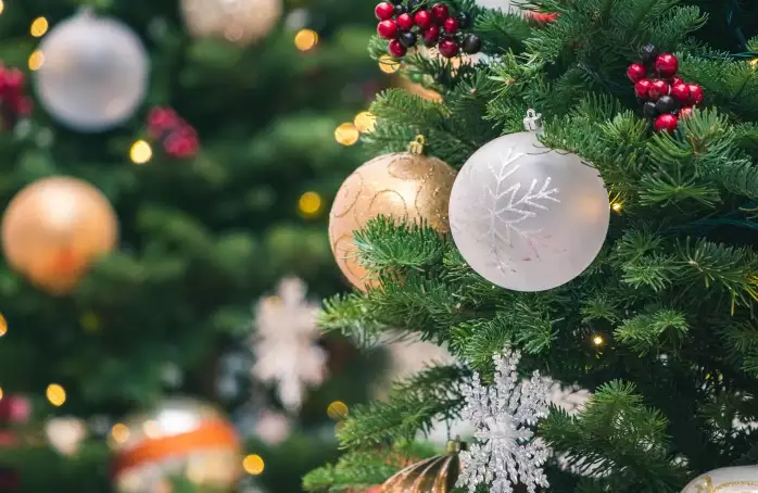 Na vánoční stromky budou přistaveny kontejnery