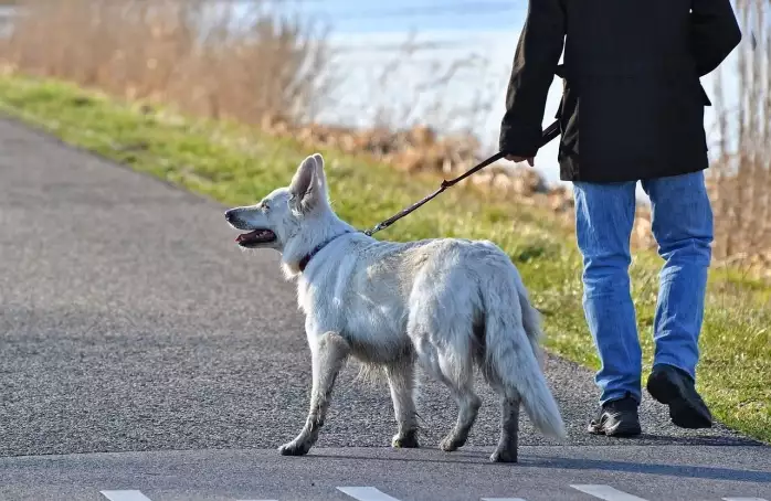 Mějme své město čisté. Uklízejte po pejskovi