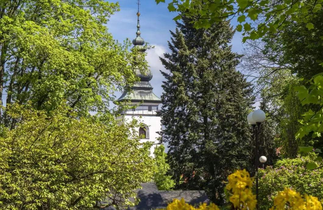 Zeleň hraje důležitou roli. Kácí se méně než sází