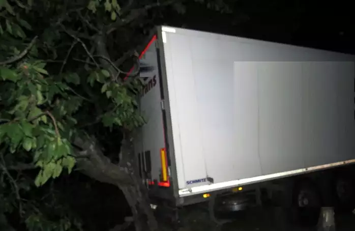 Řidič uvízl s nákladní soupravou pod stromem