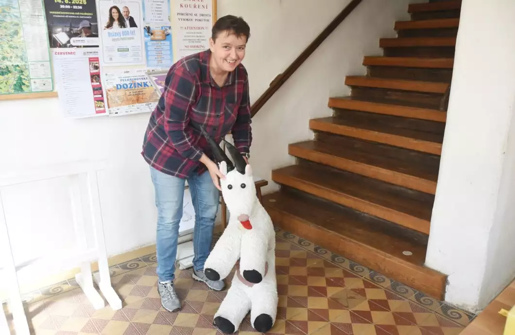 Plyšové kozy lákají na věž i turisty ze zahraničí
