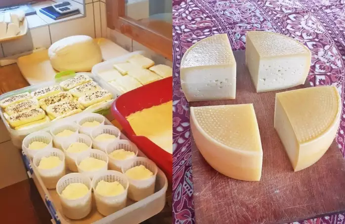 Příběh kozích sýrů začal na salaši v Karpatech