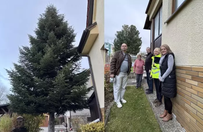 Jedlička z ulice Na Výsluní může být vánočním stromem