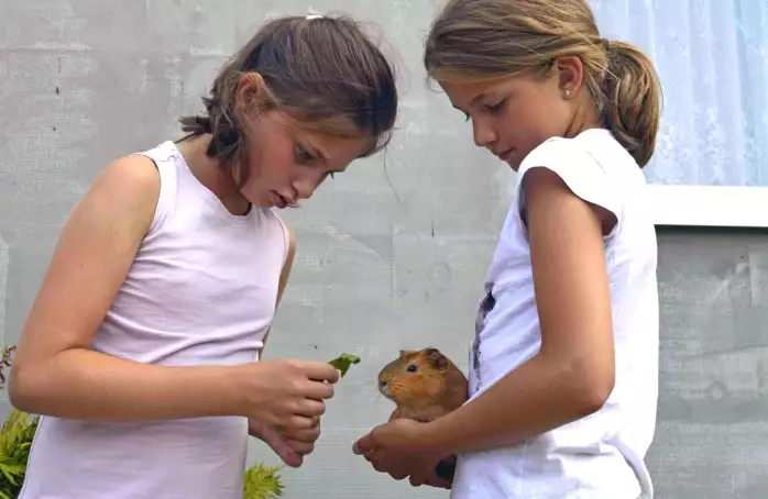 Nová pomoc pro rodiny s dětmi s hendikepem