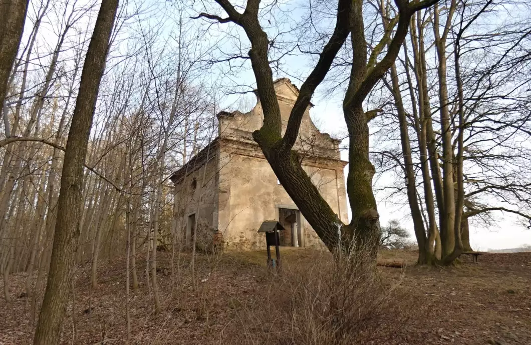 Revitalizace okolí kaple začíná probírkou náletových dřevin