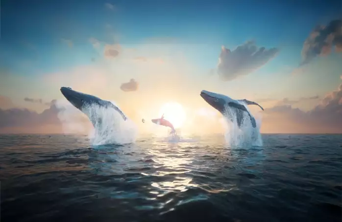 Velrybí píseň vypráví o odvaze najít vlastní hlas