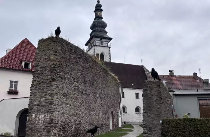 Zastupitelé podpořili koupi sochařských děl Hejno a Mazlík