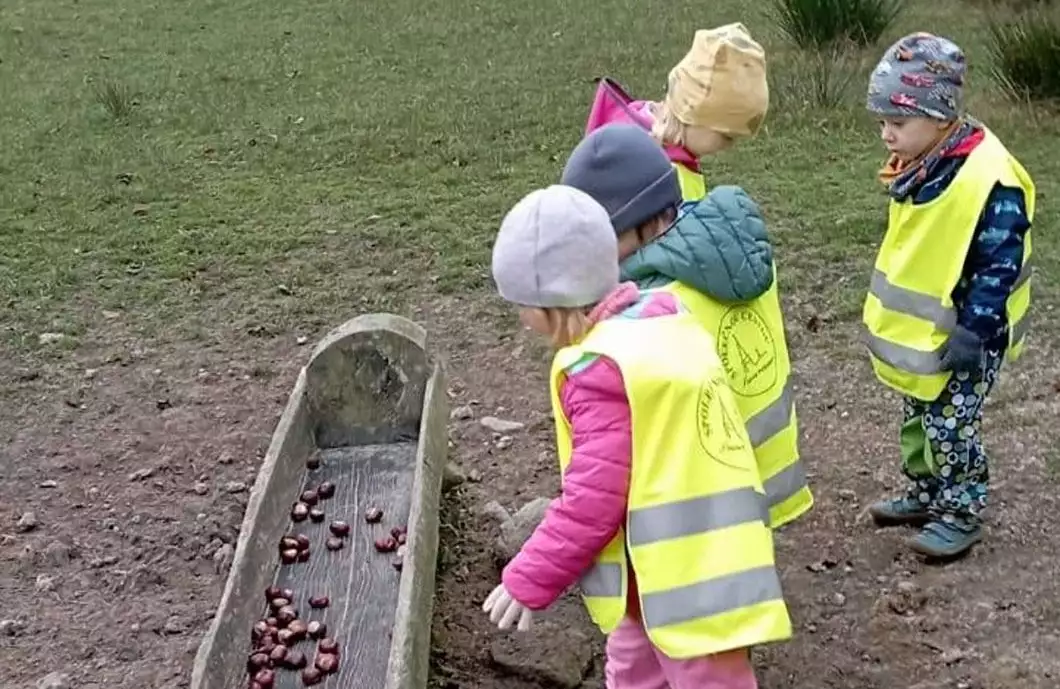 Kaštany od dětí z mateřské školky nakrmily daňky