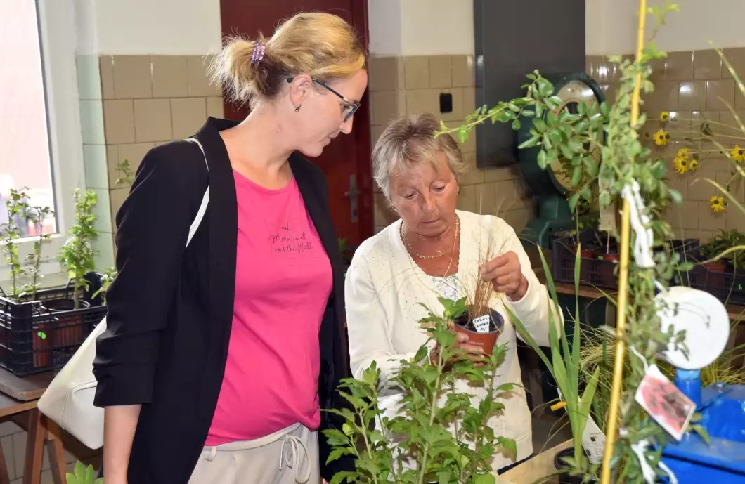 Květiny, keře i džemy. Zahrádkáři dnes a zítra prodávají přebytky