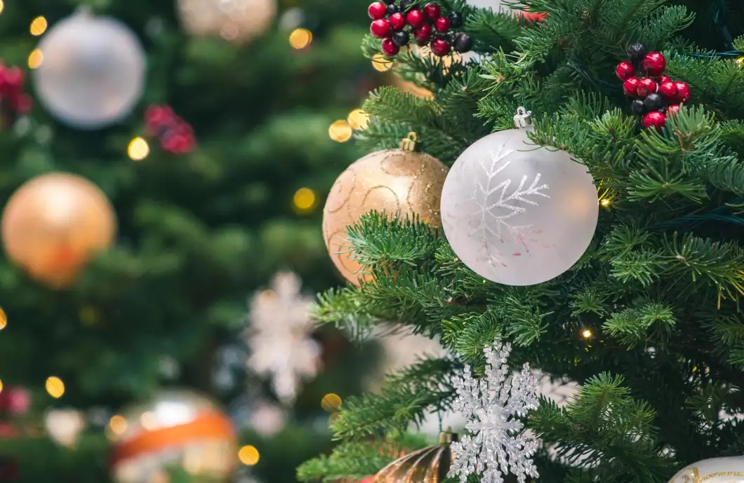 Na vánoční stromky budou přistaveny kontejnery