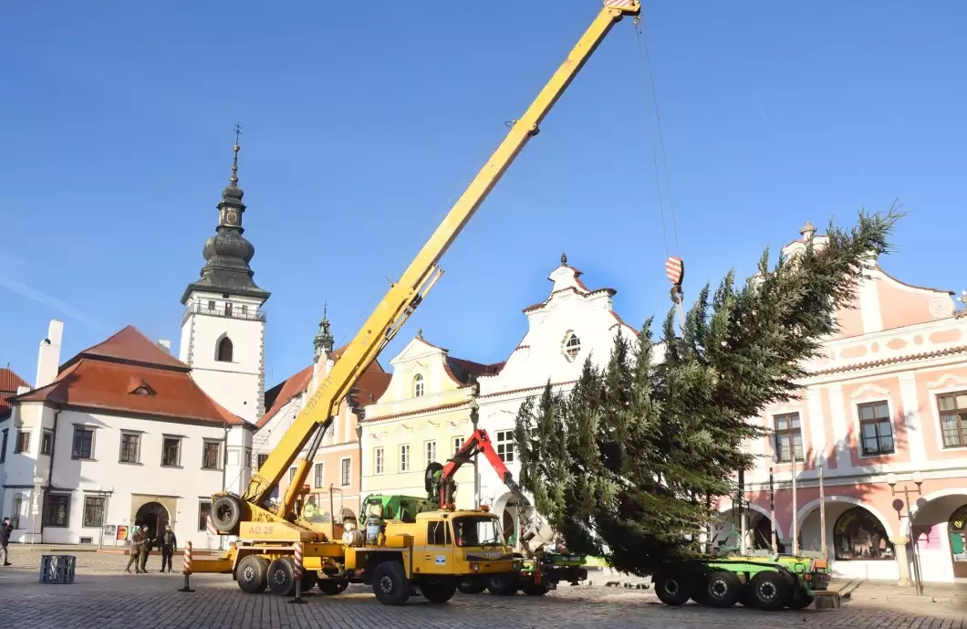 Vánoční strom rostl v ulici Na Výsluní, sazenice byla z Křemešníku