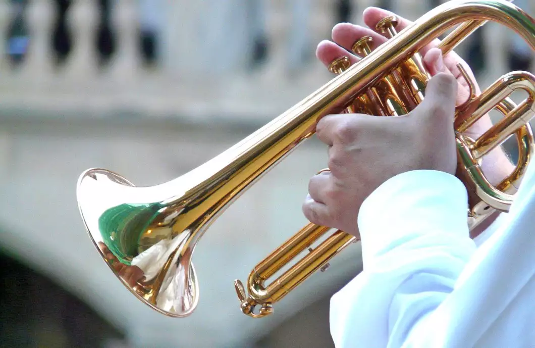 Žáci ZUŠ Pelhřimov sbírají úspěchy v soutěžích doma i v zahraničí