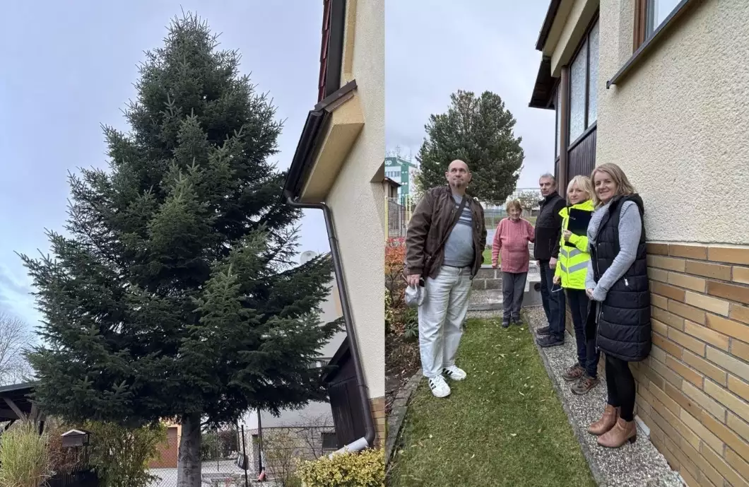 Jedlička z ulice Na Výsluní může být vánočním stromem