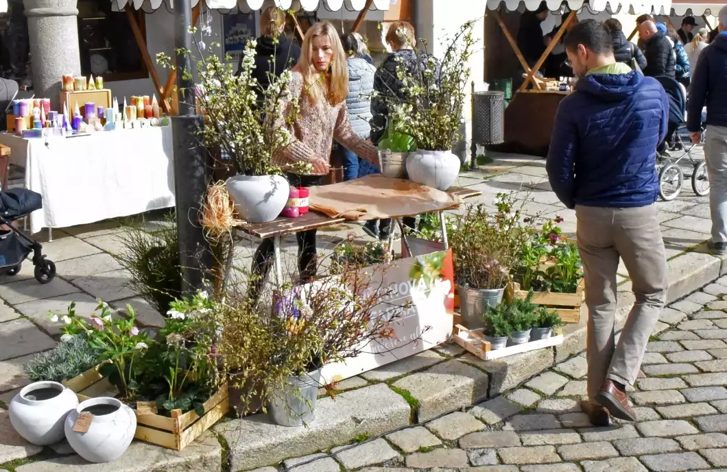 Farma z okraje Pelhřimova nabízí i jedlé květiny